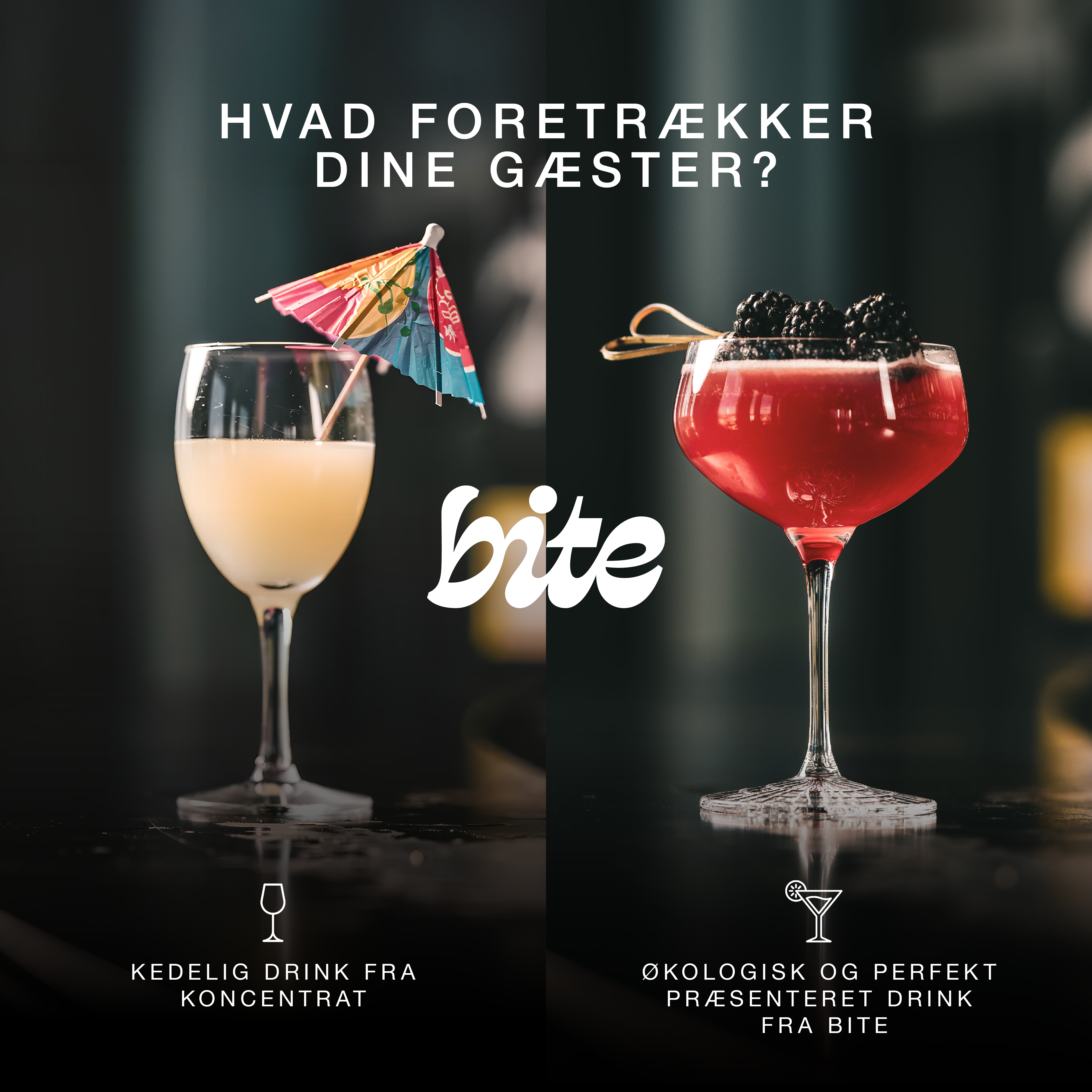 Bite annonce
